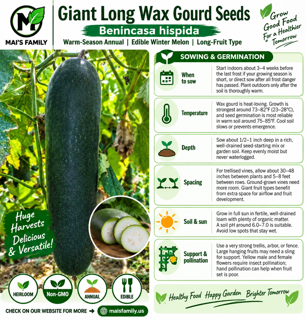 Giant Long Wax Gourd Seeds – Long Black-Skin Winter Melon
