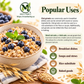 Organic Oat Groats – Hulled Oats Bulk Grain