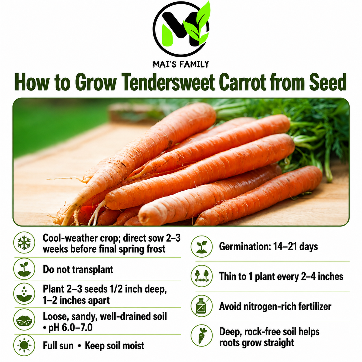 Tendersweet Carrot Seeds – Heirloom Non-GMO