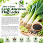 Large American Flag Leek Seeds – Heirloom Non-GMO Open-Pollinated