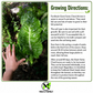 Swiss Chard- Fordhook Giant-Heirloom- Non GMO