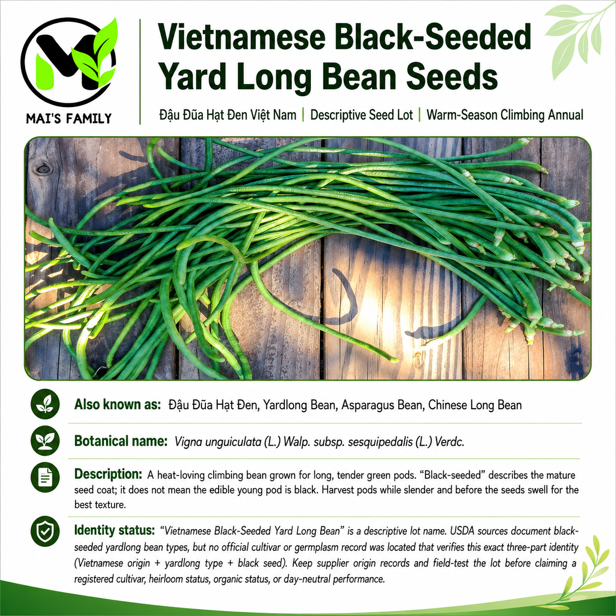 Vietnamese Black-Seeded Yard Long Bean Seeds – Đậu Đũa Hạt Đen