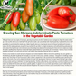 San Marzano Tomato Seeds – Heirloom Non-GMO Indeterminate Paste Tomato
