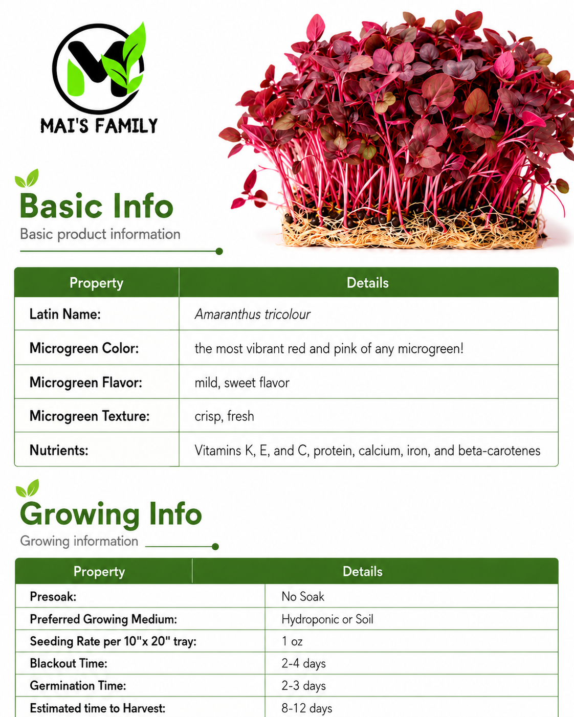 Organic Red Garnet Amaranth Microgreen Seeds – Heirloom Non-GMO
