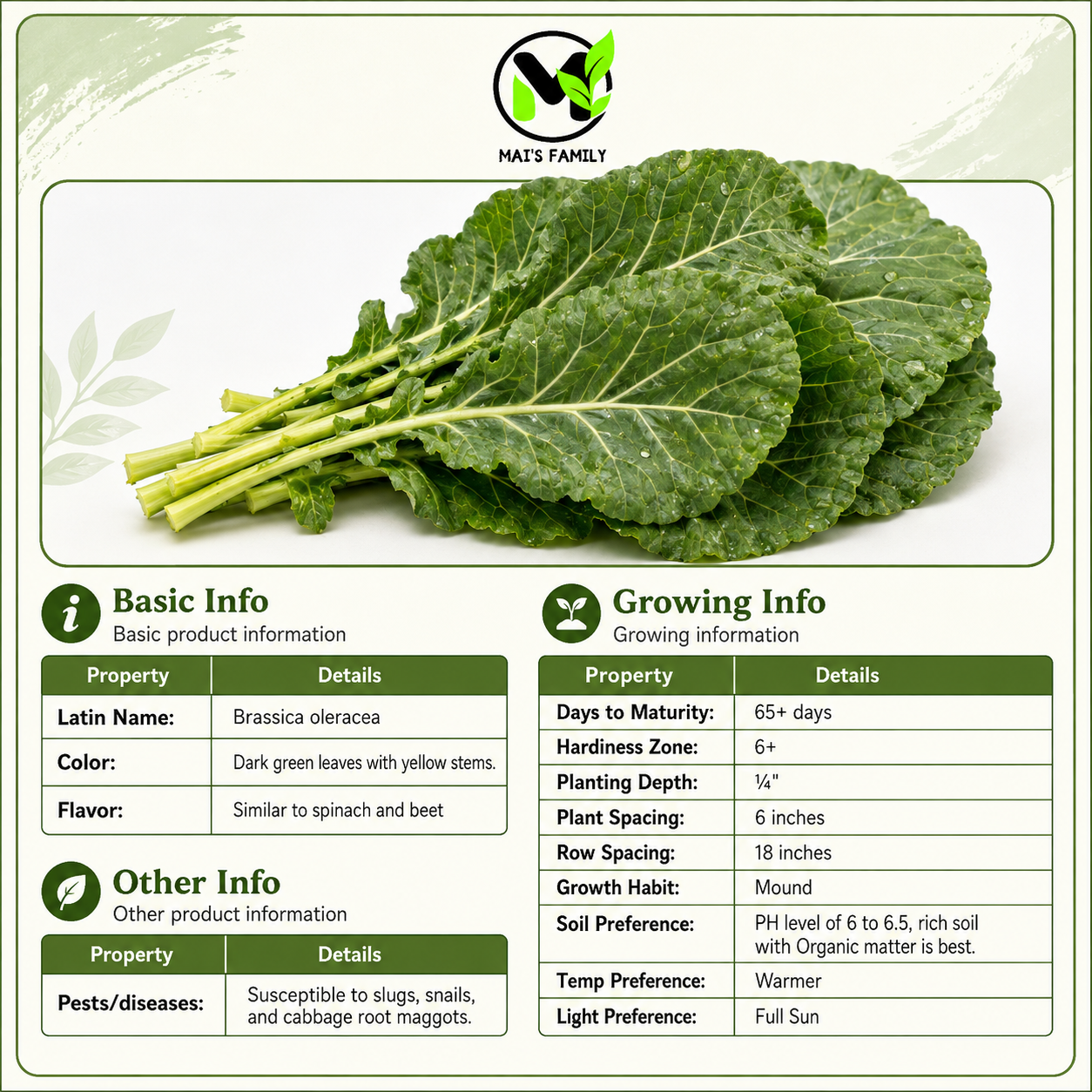 Georgia Southern Collard Green Seeds – Heirloom Non-GMO