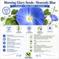 Heavenly Blue Morning Glory Seeds – Non-GMO Annual Climbing Vine