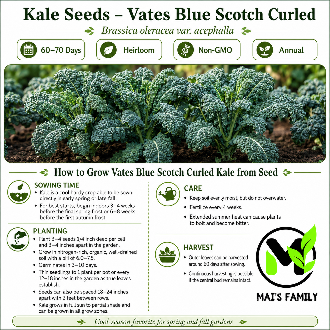 Vates Blue Scotch Curled Kale Seeds – Heirloom, Non-GMO