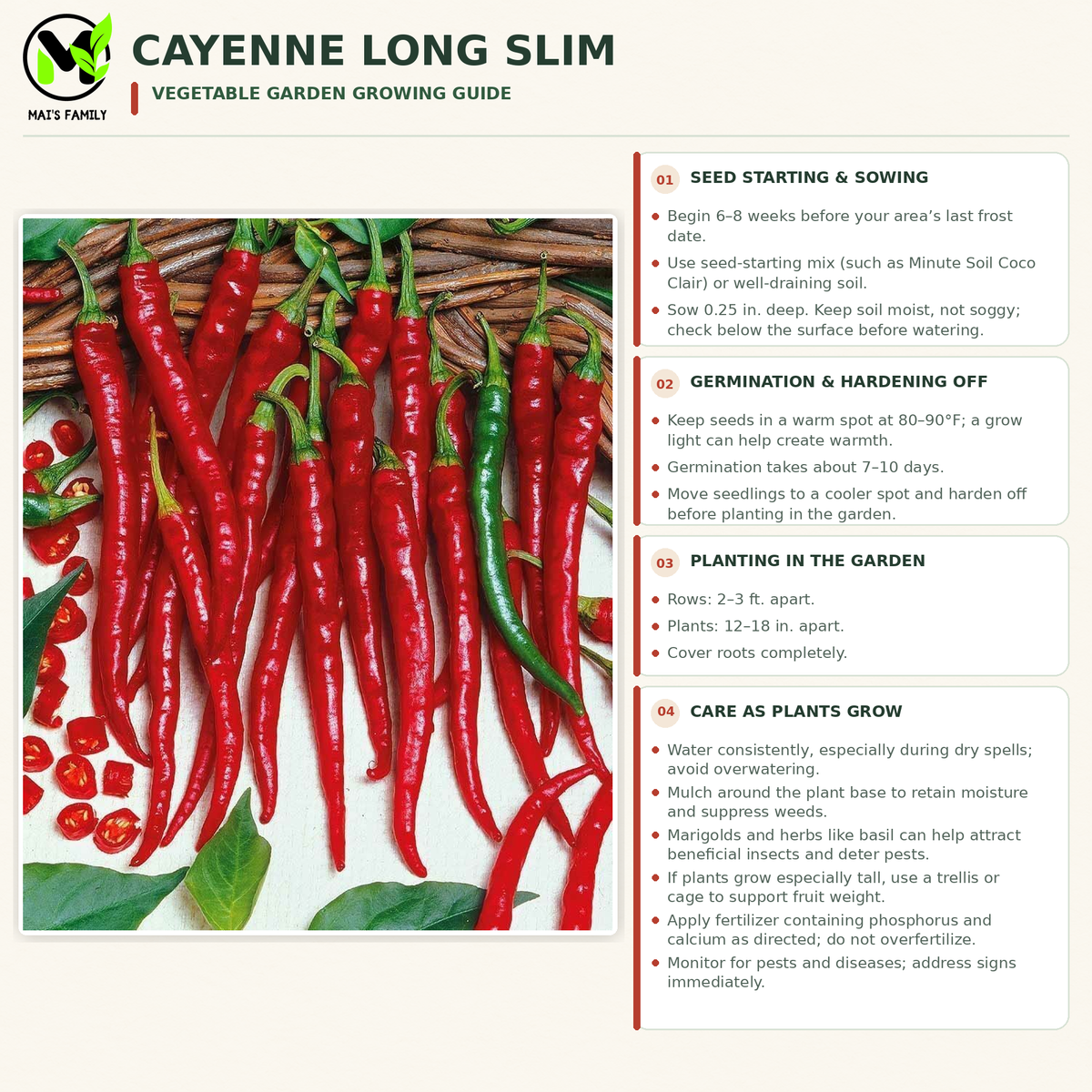 Cayenne Long Slim Pepper Seeds – Heirloom Non-GMO Hot Pepper