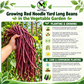 Red Noodle Yard Long Bean Seeds – Heirloom Non-GMO Pole Bean