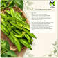 Winged Bean - Brown Seeds | Heirloom Non-GMO Asian Pole Bean
