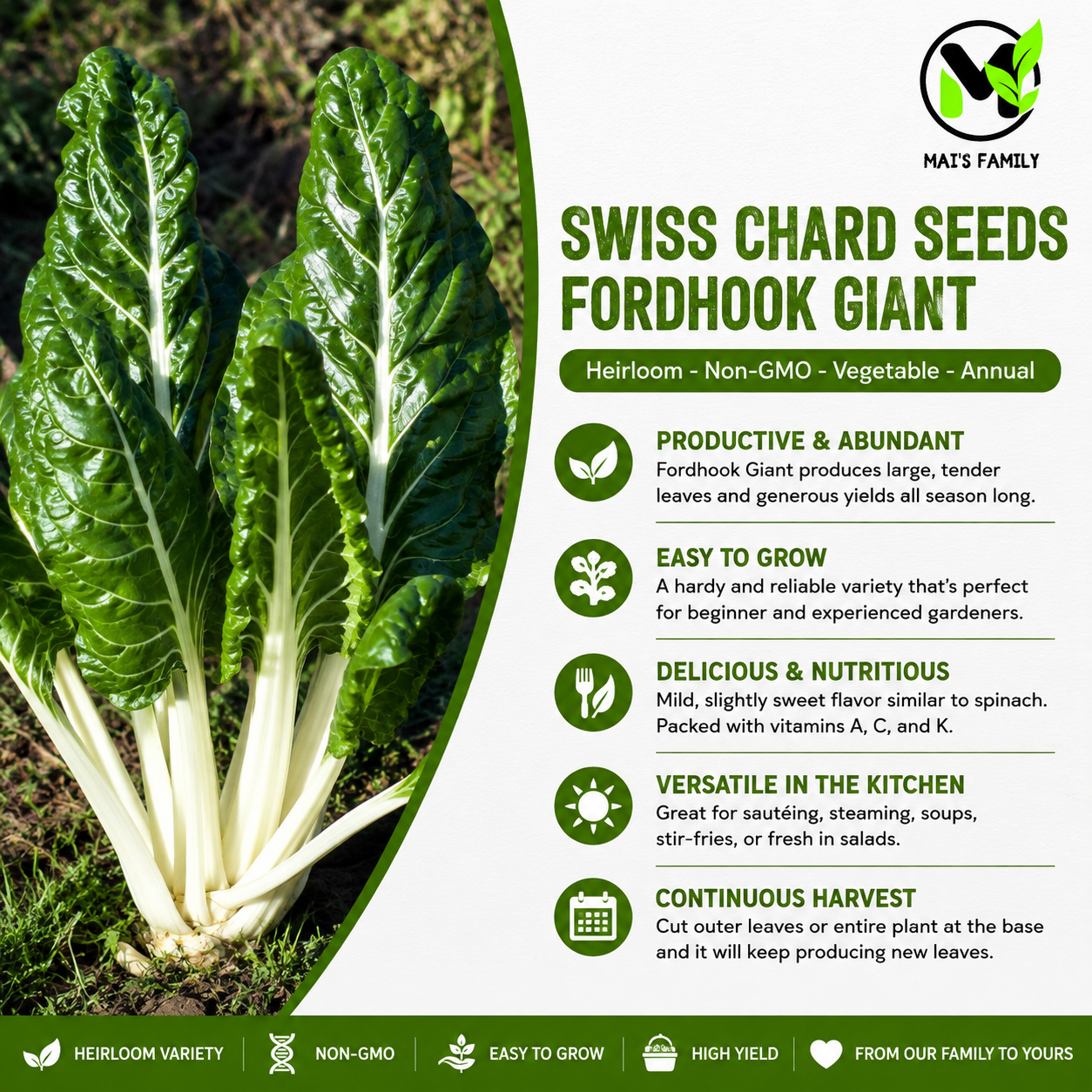Swiss Chard- Fordhook Giant-Heirloom- Non GMO