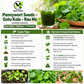 Pennywort Seeds Big Leaf - Gotu Kola Rau Má Lá Bự | Heirloom Non-GMO Perennial Herb