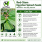 Red-Stem Molokhia Seeds – Egyptian Spinach – Rau Đay Thân Đỏ