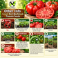 Giant Red Beefsteak Tomato Seeds – Non-GMO Open-Pollinated