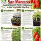 San Marzano Tomato Seeds – Heirloom Non-GMO Indeterminate Paste Tomato