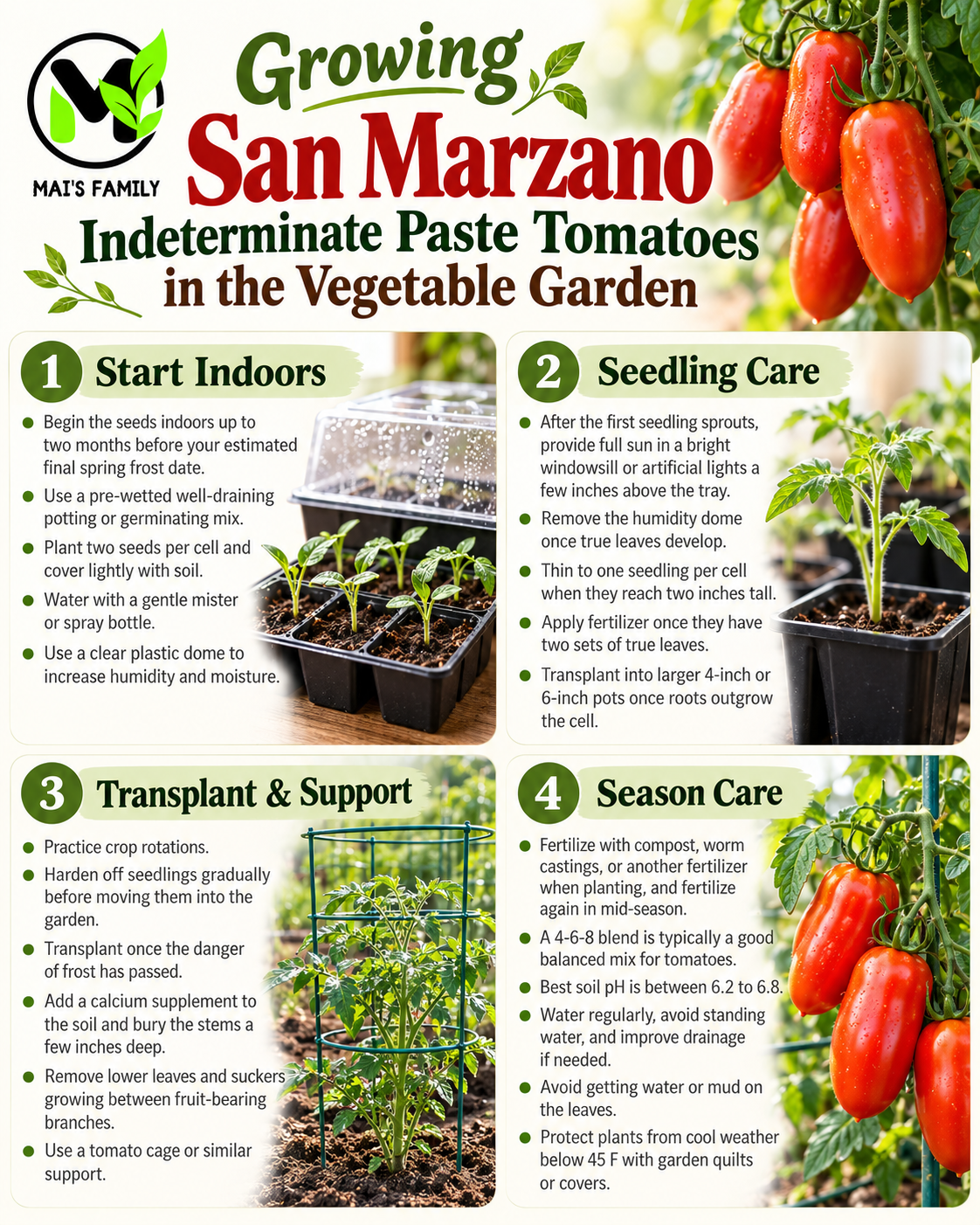 San Marzano Tomato Seeds – Heirloom Non-GMO Indeterminate Paste Tomato