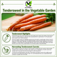 Tendersweet Carrot Seeds – Heirloom Non-GMO