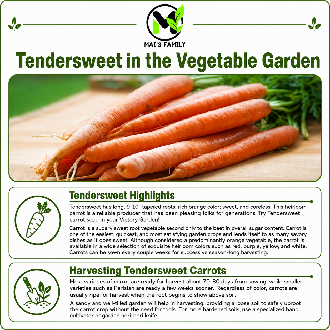 Tendersweet Carrot Seeds – Heirloom Non-GMO