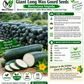 Giant Long Wax Gourd Seeds – Long Black-Skin Winter Melon