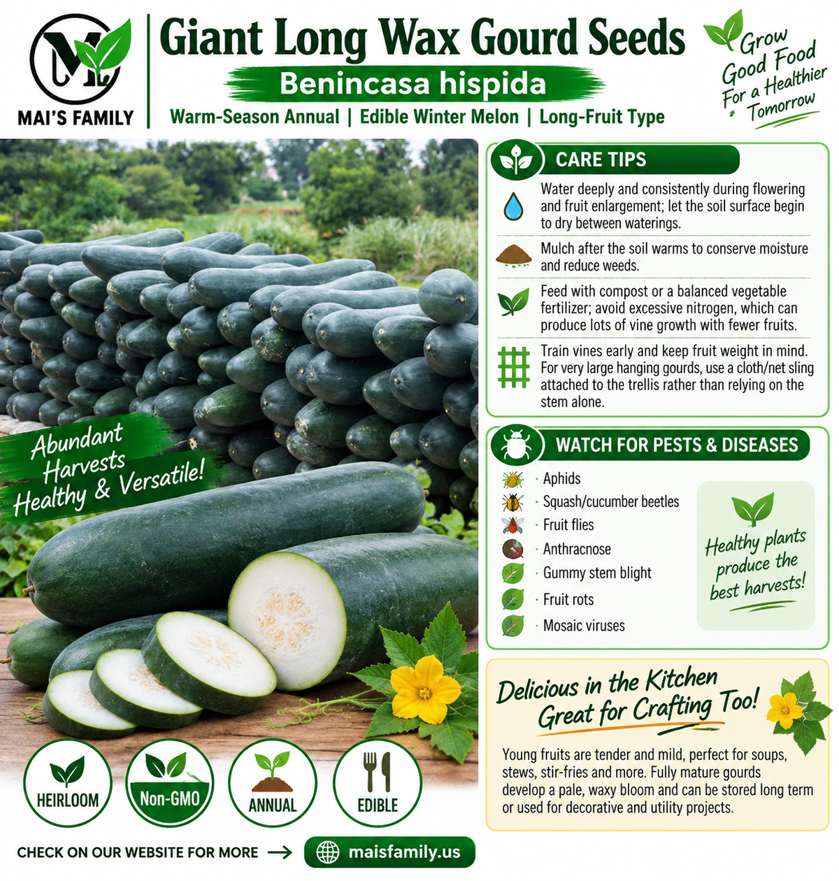 Giant Long Wax Gourd Seeds – Long Black-Skin Winter Melon