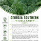 Georgia Southern Collard Green Seeds – Heirloom Non-GMO