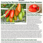 San Marzano Tomato Seeds – Heirloom Non-GMO Indeterminate Paste Tomato