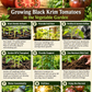 Black Krim Tomato Seeds – Heirloom Non-GMO Dark Slicing Tomato
