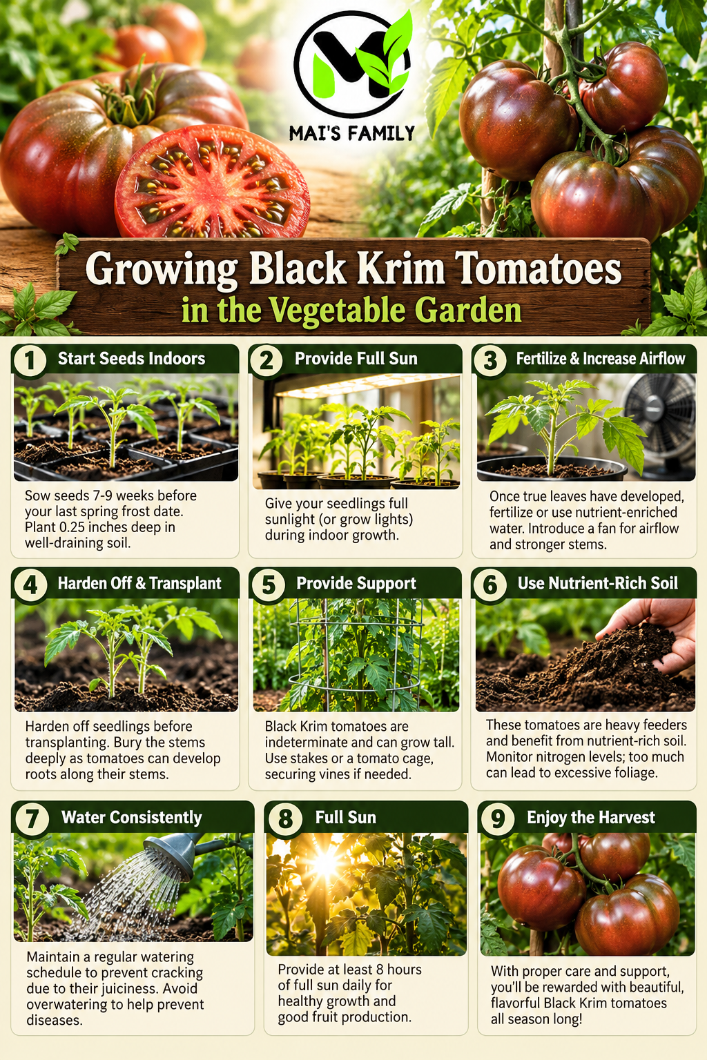 Black Krim Tomato Seeds – Heirloom Non-GMO Dark Slicing Tomato