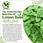 Lemon Balm Seeds – Melissa officinalis Heirloom Non-GMO Perennial Herb