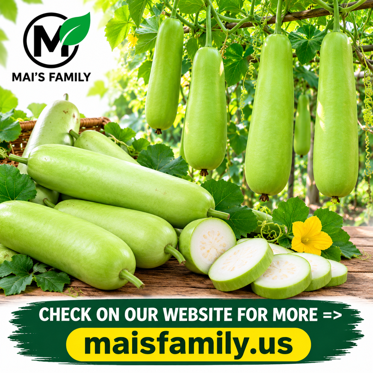 Long Bottle Gourd F1 Seeds – Non-GMO Calabash Opo Squash
