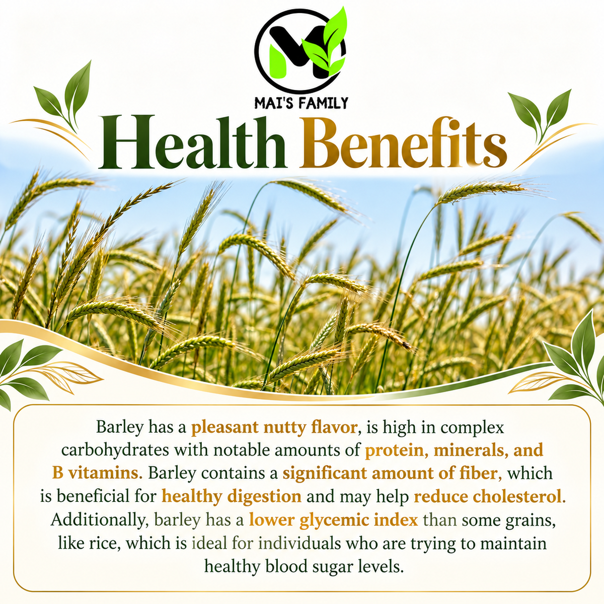 Organic Steptoe Barley – Unhulled Bulk Grain Seeds
