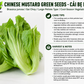 Chinese Mustard Green Seeds – Cải Bẹ Dưa | Gai Choy | Brassica juncea