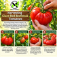 Giant Red Beefsteak Tomato Seeds – Non-GMO Open-Pollinated
