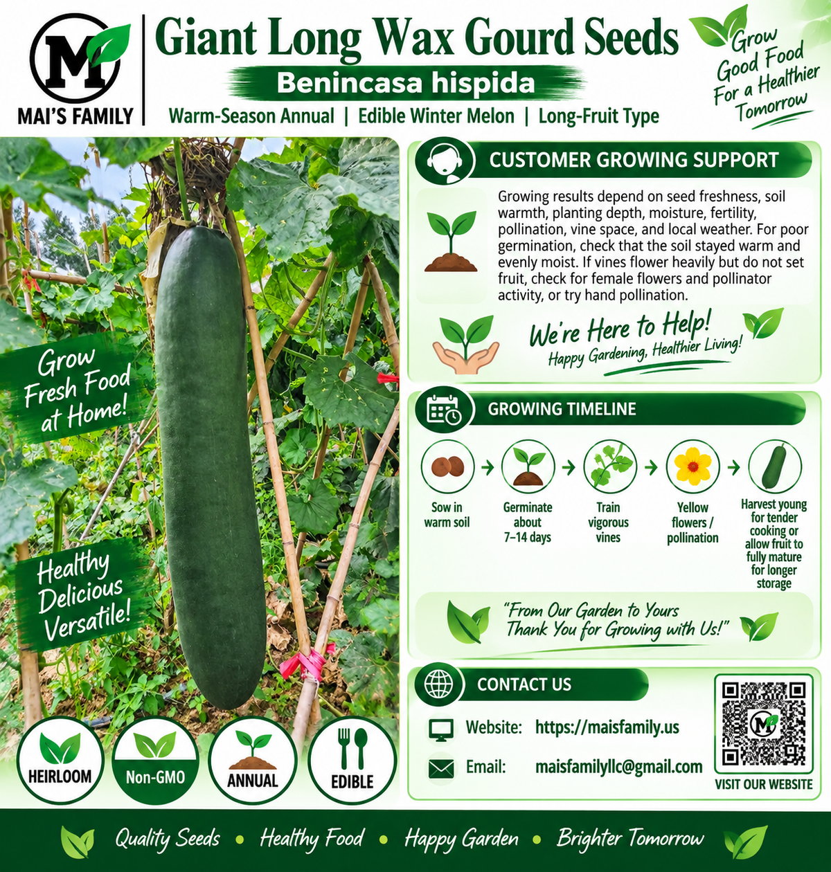 Giant Long Wax Gourd Seeds – Long Black-Skin Winter Melon