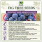 Ficus carica Seeds – Common Fig Deciduous Fruit Tree
