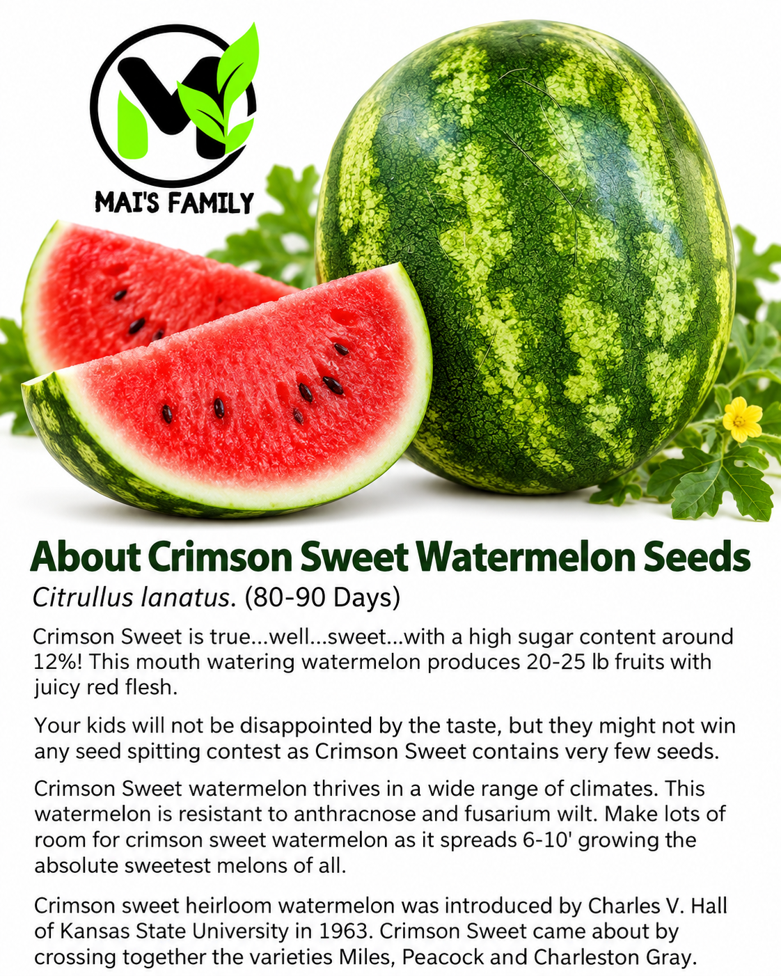 Crimson Sweet Watermelon Seeds – Heirloom Non-GMO AAS Winner