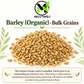 Organic Steptoe Barley – Unhulled Bulk Grain Seeds