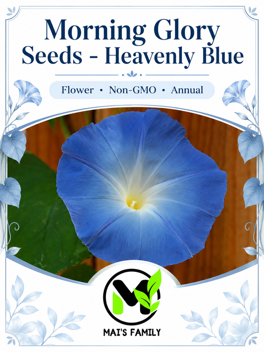 Heavenly Blue Morning Glory Seeds – Non-GMO Annual Climbing Vine