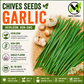 Garlic Chives Seeds – Heirloom Non-GMO Perennial Herb
