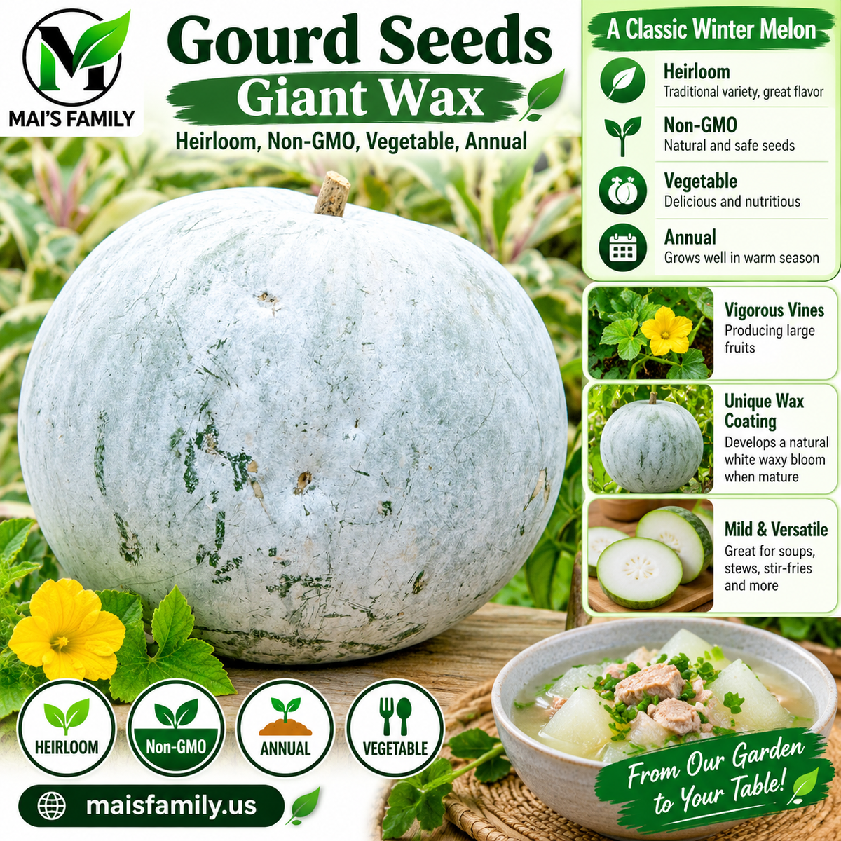 Giant Wax Gourd Seeds – Heirloom Non-GMO Winter Melon