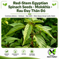 Red-Stem Molokhia Seeds – Egyptian Spinach – Rau Đay Thân Đỏ