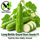 Long Bottle Gourd Stars F1 Seeds – Non-GMO Bau Sao Hybrid- Bầu sao lai