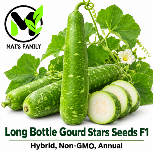 Long Bottle Gourd Stars F1 Seeds – Non-GMO Bau Sao Hybrid- Bầu sao lai