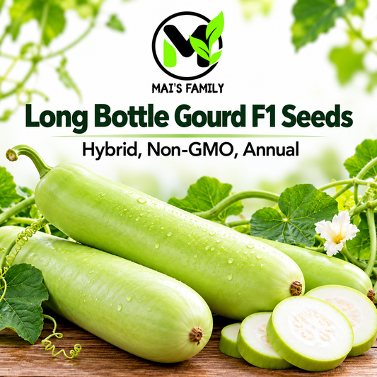 Long Bottle Gourd F1 Seeds – Non-GMO Calabash Opo Squash