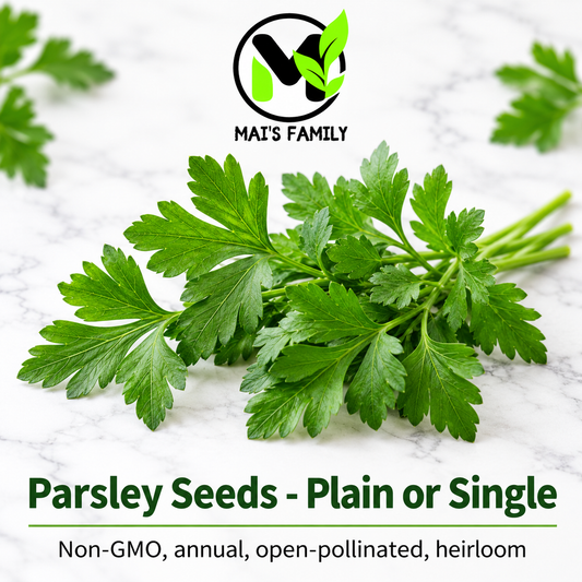 Plain or Single Parsley Seeds – Heirloom Non-GMO