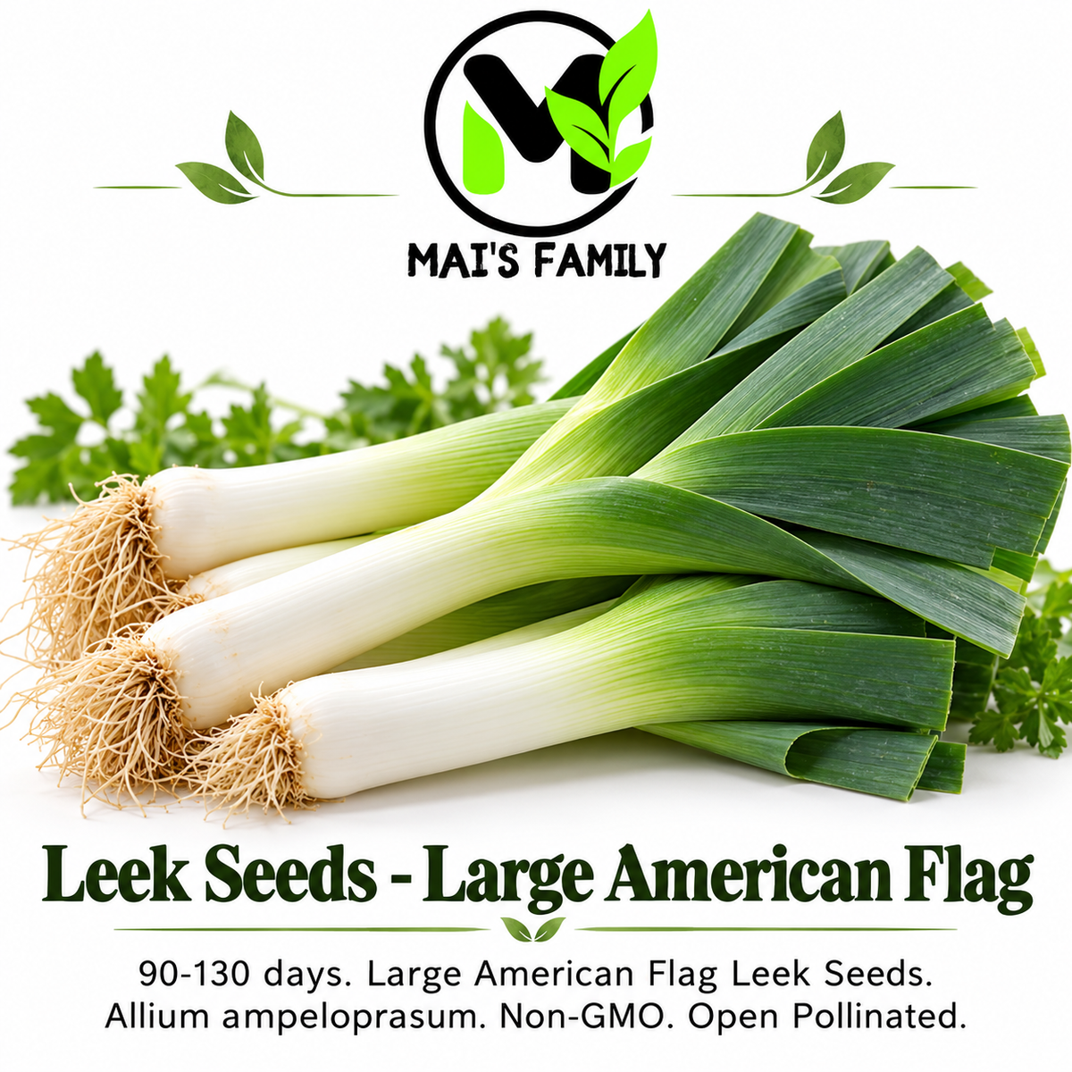 Large American Flag Leek Seeds – Heirloom Non-GMO Open-Pollinated