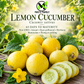 Lemon Cucumber Seeds – Heirloom Non-GMO Round Yellow Cucumber