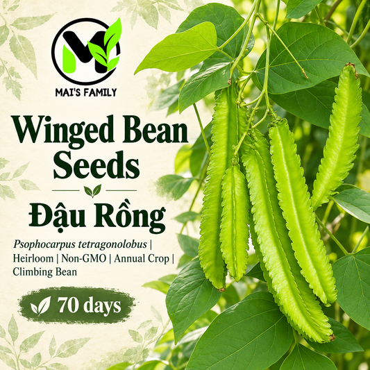 四棱豆 ( Đậu Rồng) 種子 - 傳家寶，非基因