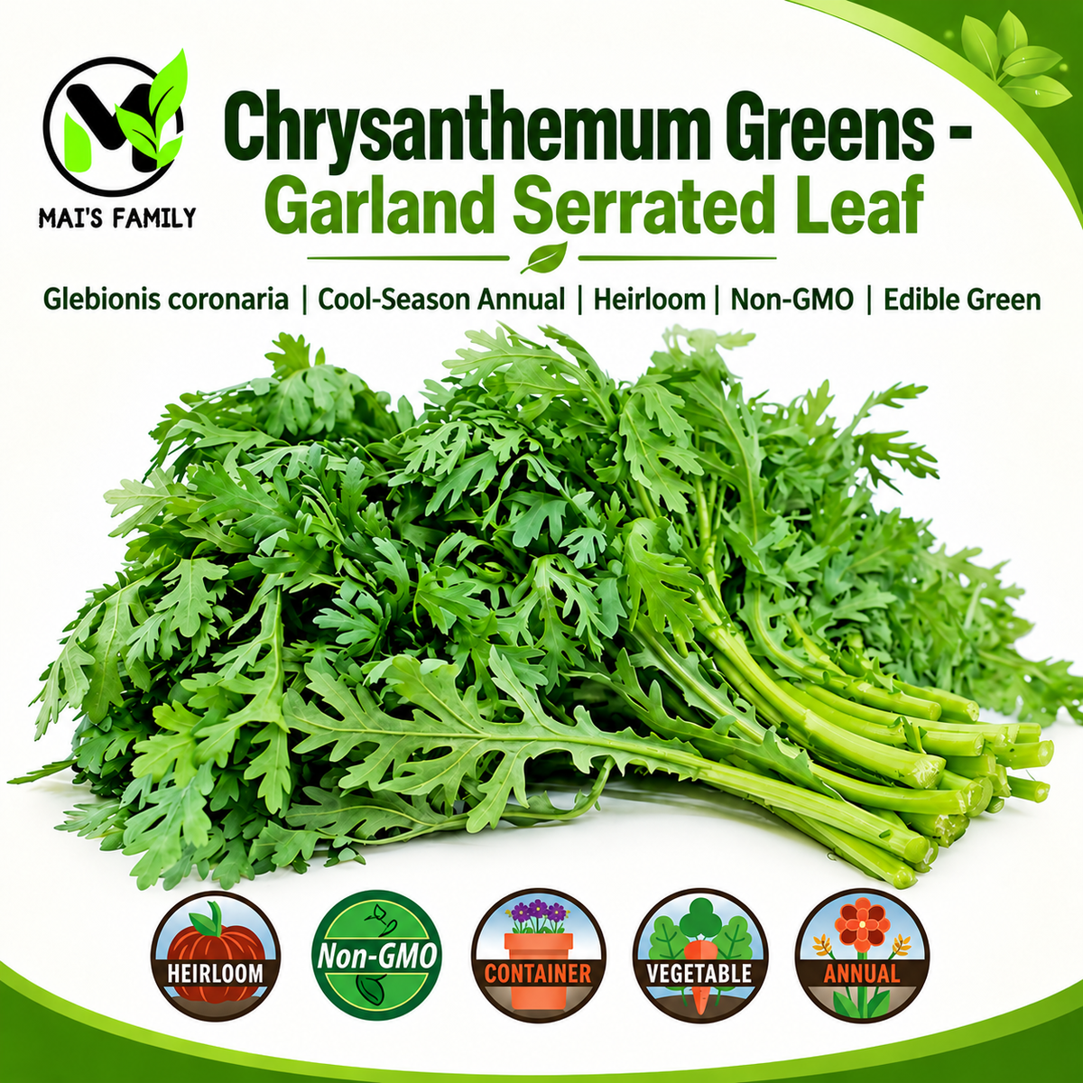 Garland Serrated Leaf Chrysanthemum Greens Seeds – Heirloom Non-GMO Tần Ô Lá Xẻ