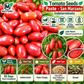 San Marzano Tomato Seeds – Heirloom Non-GMO Indeterminate Paste Tomato